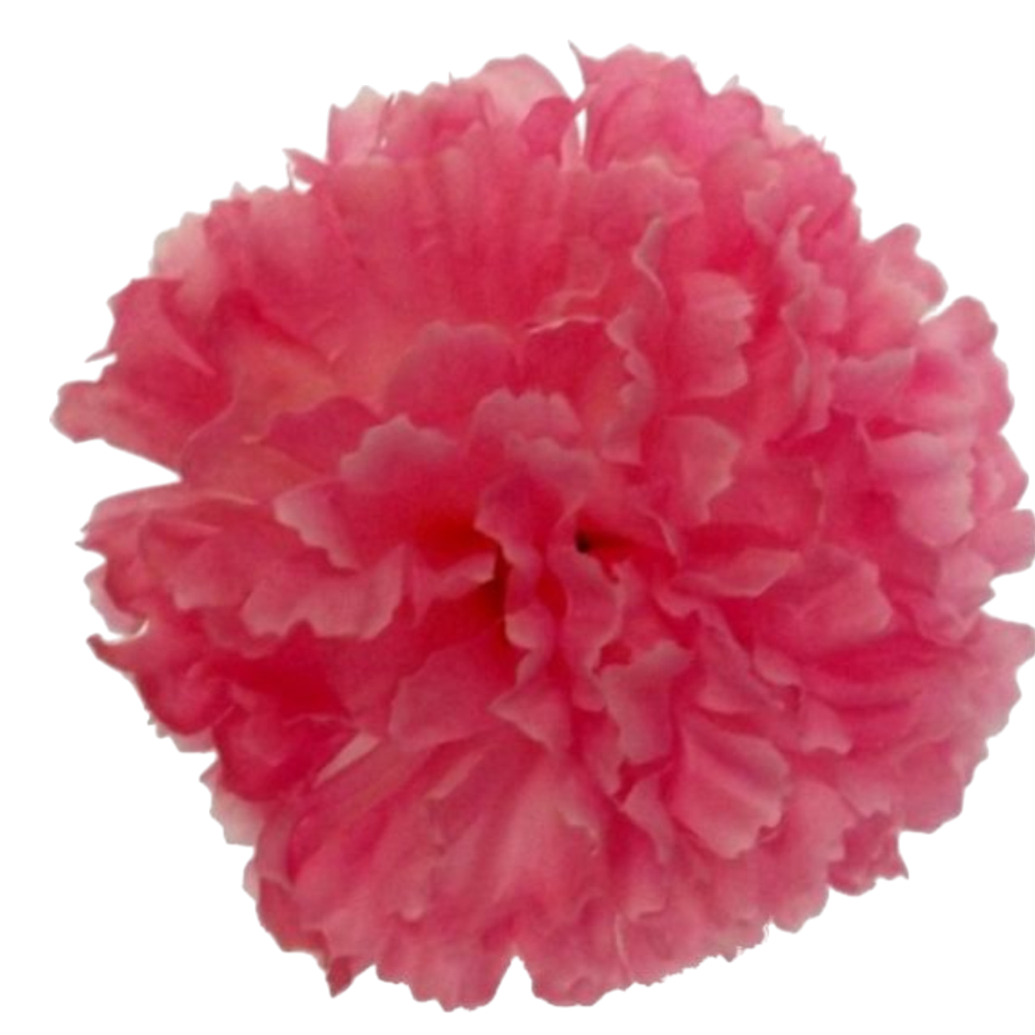 Carnation Picks Artificial Corsage Pick Florist Funeral Tribute Flower UK SELLER