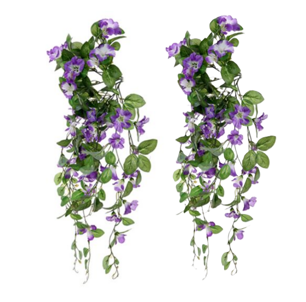 Trailing hanging baskets, two bushes with purple morning glory blooms and green leaves