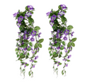 Trailing hanging baskets, two bushes with purple morning glory blooms and green leaves