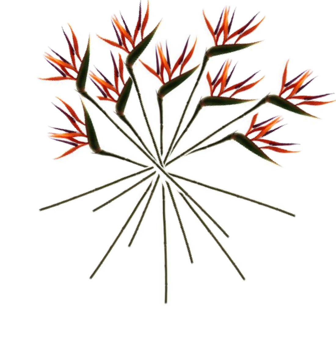 Artificial bird of paradise stems with many orange-purple blooms on green stalks