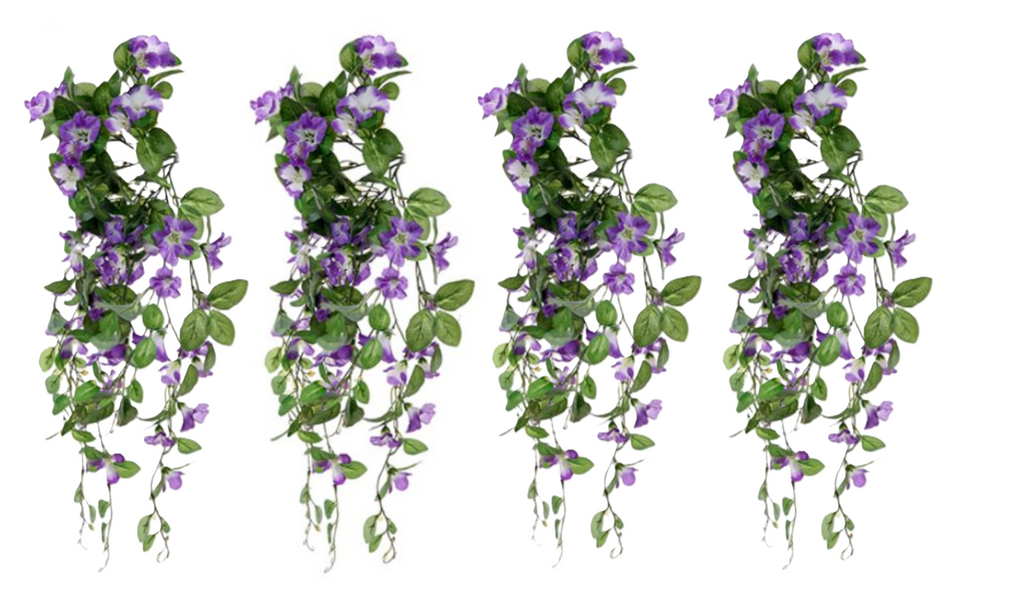 Trailing hanging baskets, four bushes with purple morning glory blooms and green trailing leaves