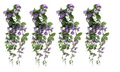 Trailing hanging baskets, four bushes with purple morning glory blooms and green trailing leaves