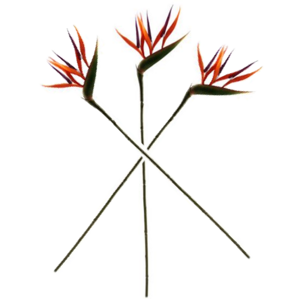 Artificial bird of paradise stems, three orange-purple blooms on green stalks
