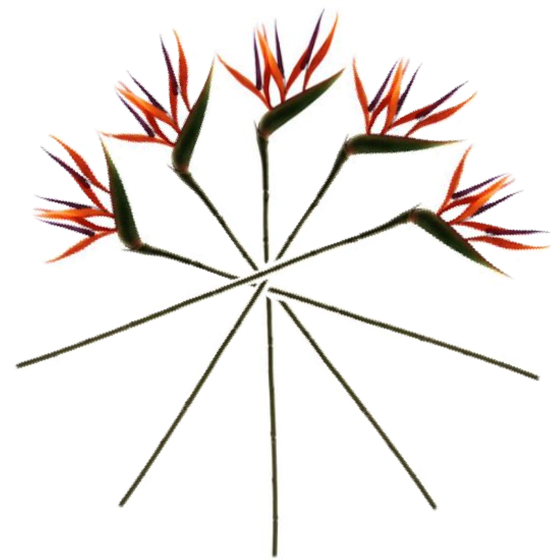 Artificial bird of paradise flower stems with multiple orange-purple blooms and green leaves