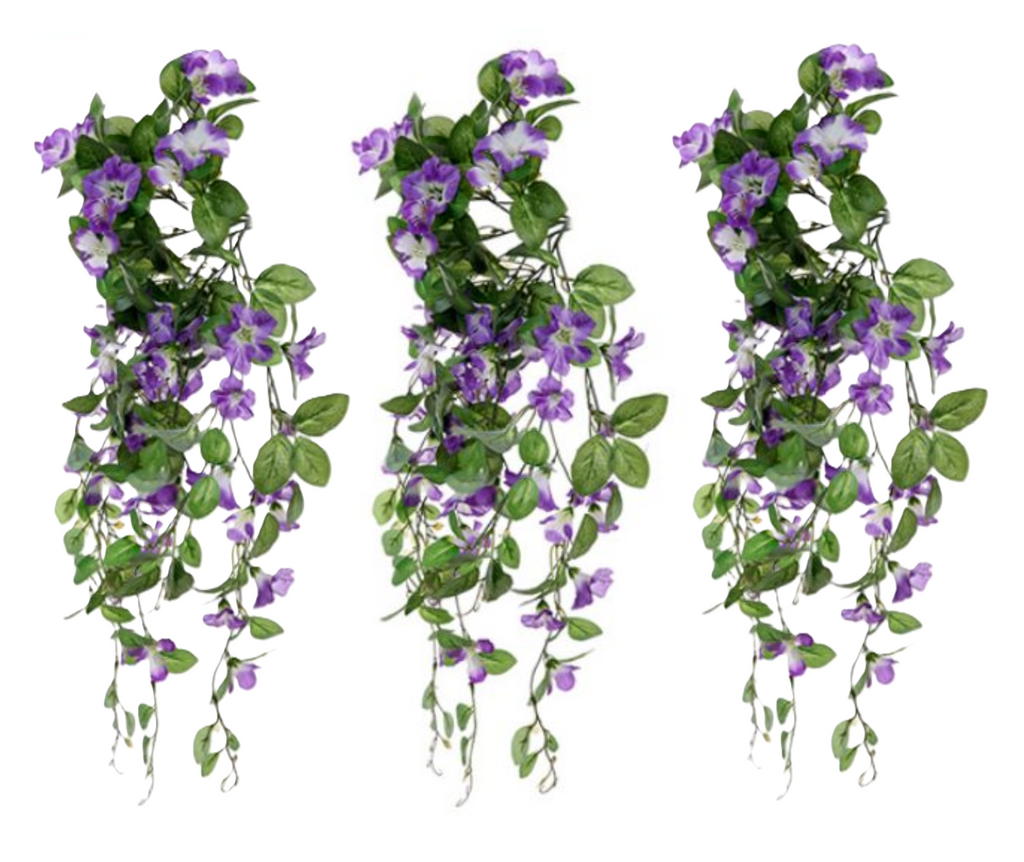 Trailing hanging baskets, three bushes with purple morning glory blooms and leafy green vines