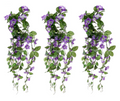 Trailing hanging baskets, three bushes with purple morning glory blooms and leafy green vines